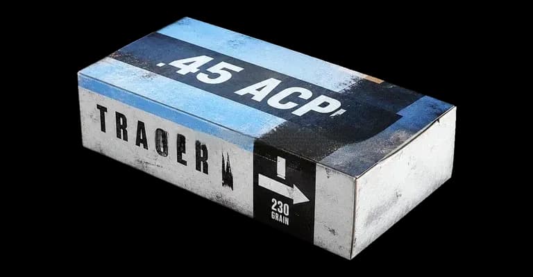 .45 ACP ammunition
